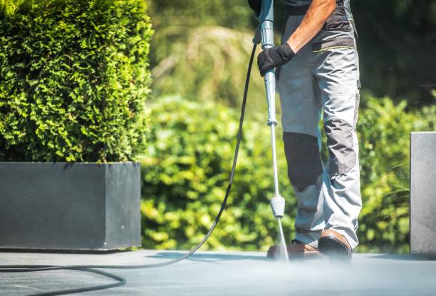 Best Animal Enclosure Cleaning  in Lacon, IL
